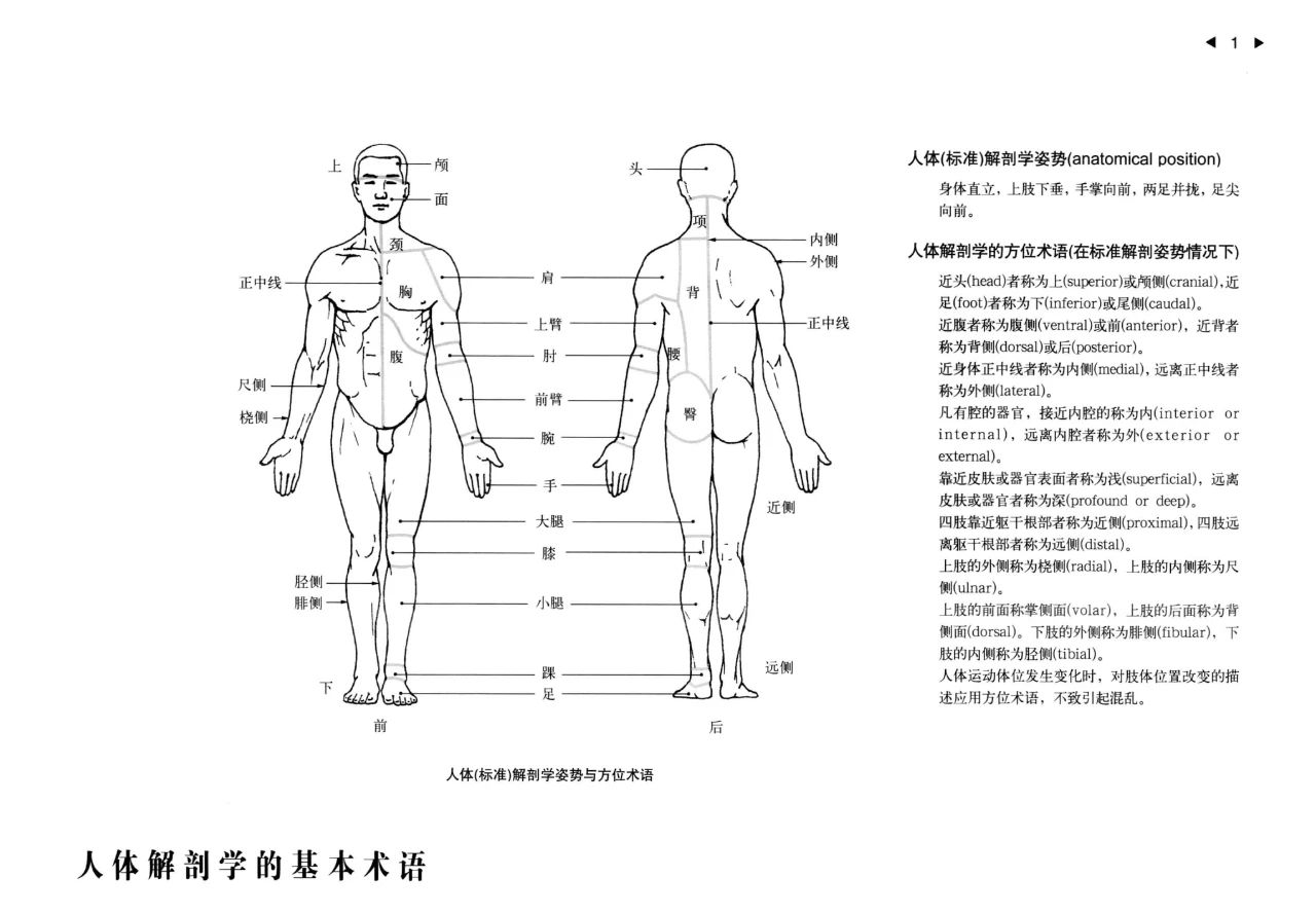 微信图片_20241231105006.jpg