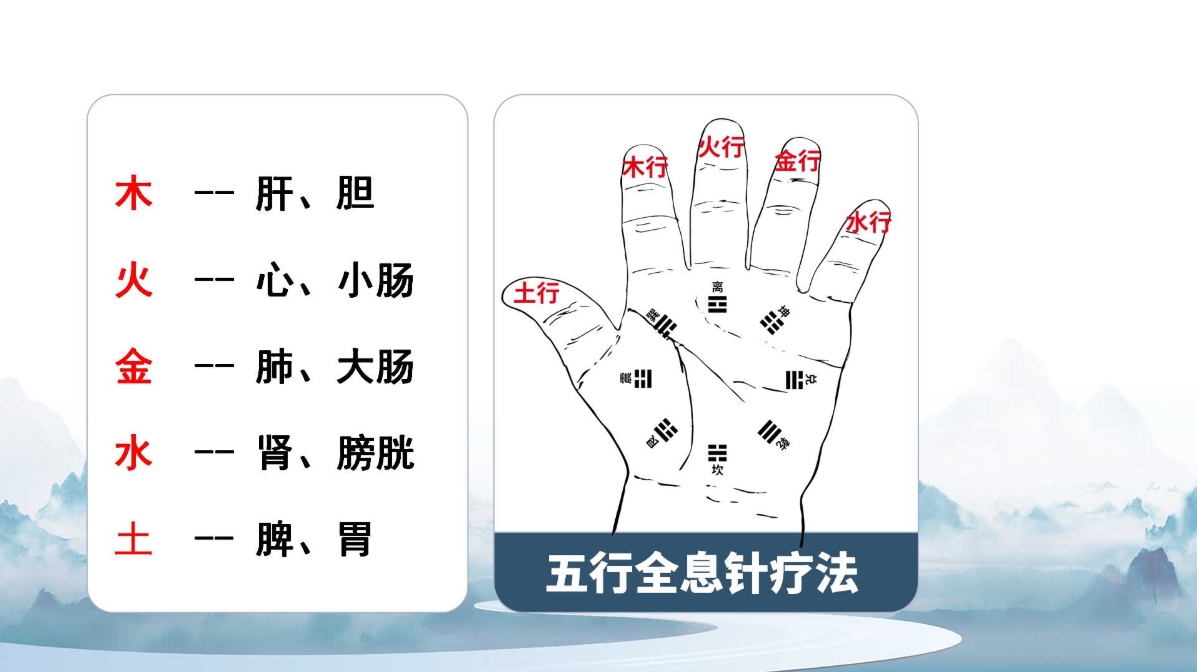告别传统针灸困境！杨氏五行全息针带你开启中医新境界！