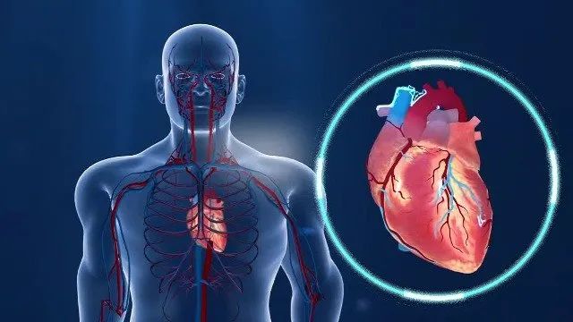 听音乐调脏腑是否有科学依据?止乐学派创始人详解五音调五脏的物理原理_凤凰网视频_凤凰网