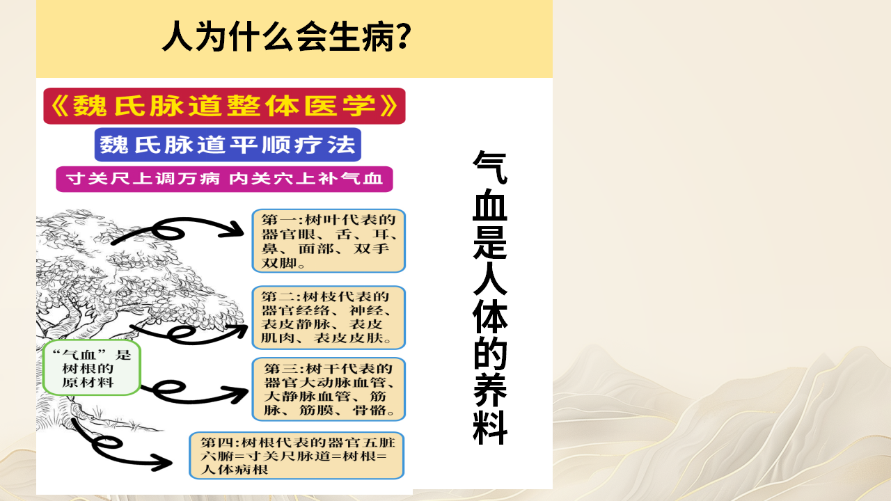 跟随权威专家，解锁魏氏脉道气血一针通！