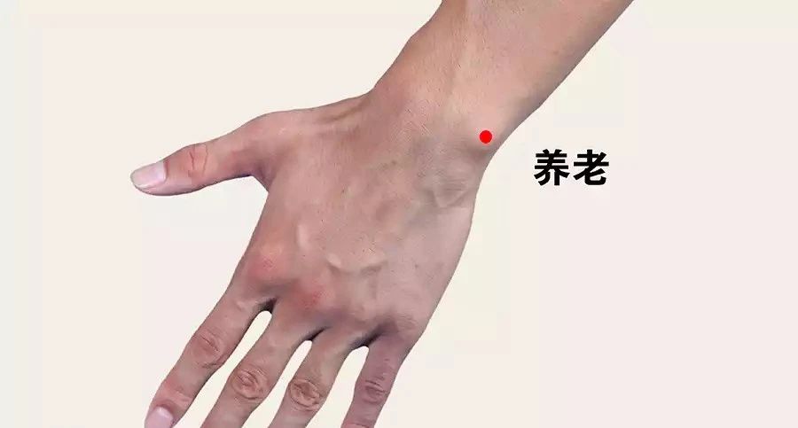 微信图片_20250228092252.jpg