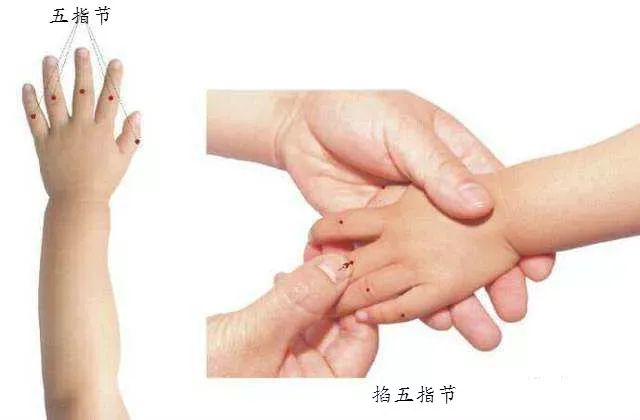 中医小儿推拿——五指节