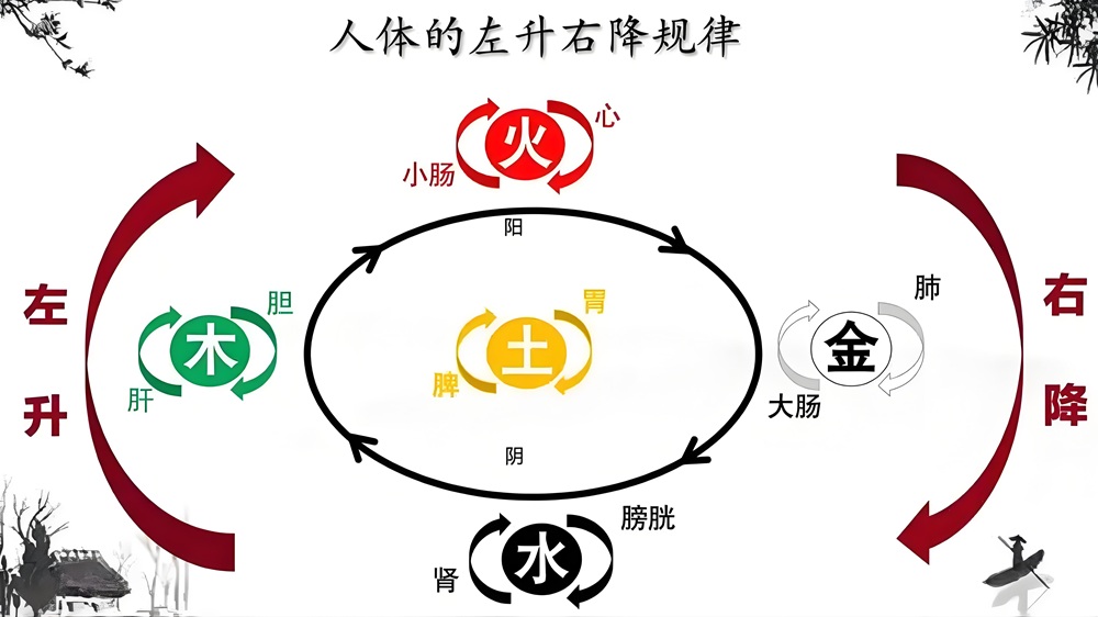 金氏五行升降中医