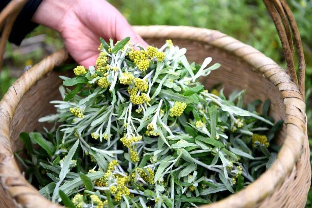 老人说：春分3不吃，福气不进门，具体指啥？有啥讲究？传统别丢