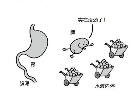 只有5味中药，从根上断绝湿气，还能治气虚和脾虚！