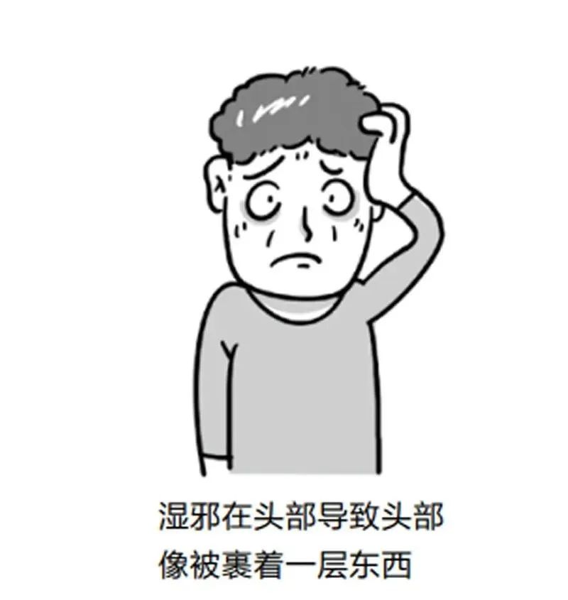 只有5味中药，从根上断绝湿气，还能治气虚和脾虚！