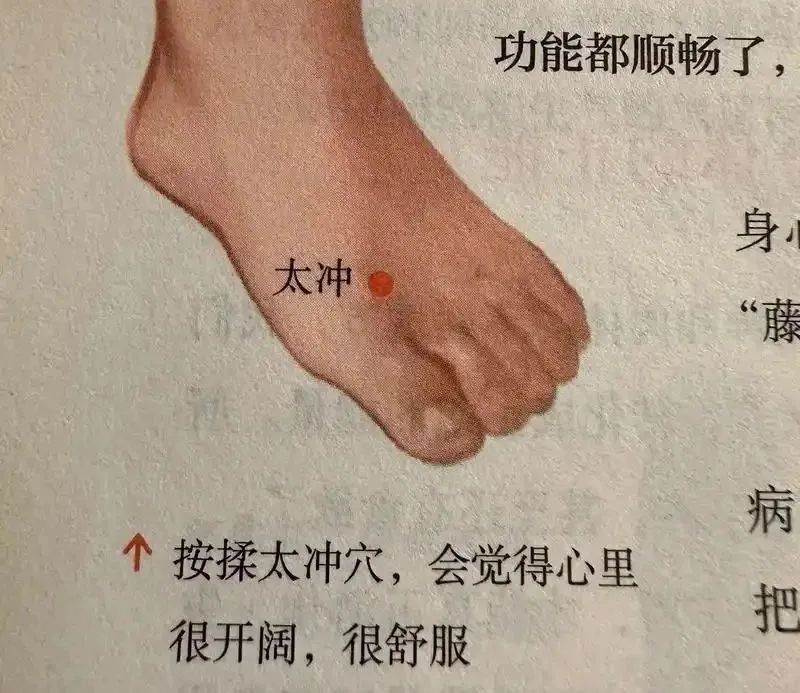 微信图片_20250414120900.jpg