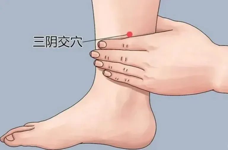 微信图片_20250414120838.jpg
