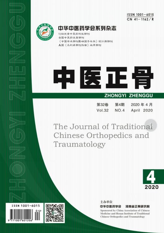 正骨入门指南：基础知识与学习路径解析！