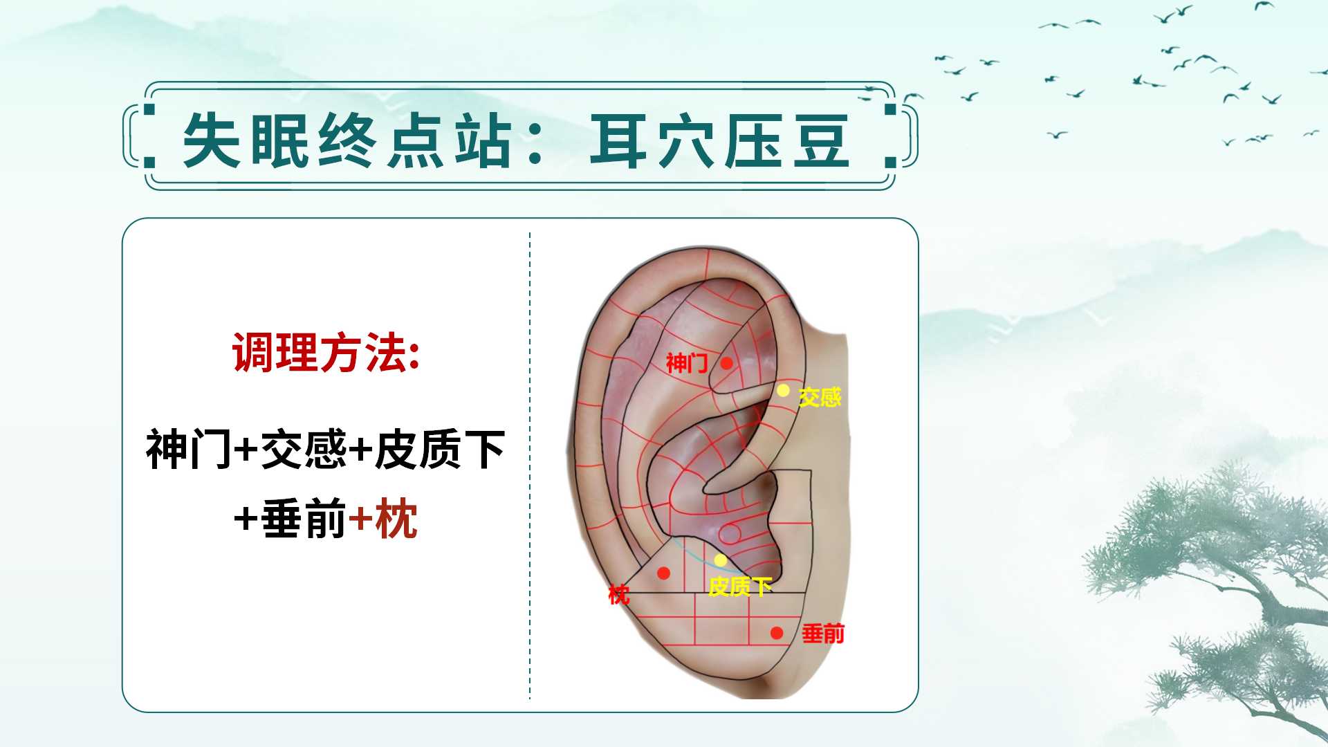 中易面诊线下课：零基础掌握中医面诊，从面部读懂健康与人生！
