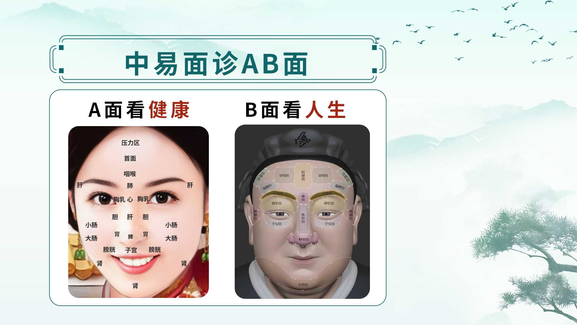 中易面诊线下课：零基础掌握中医面诊，从面部读懂健康与人生！