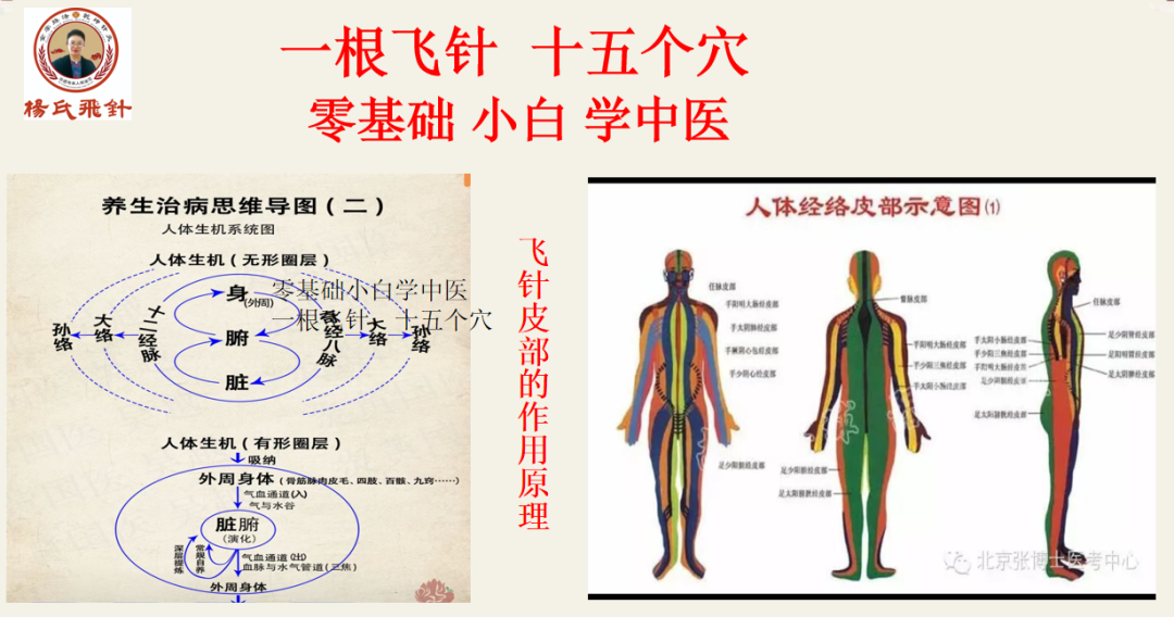 美国飞机上惊险抢回人命！中国非遗 「飞针」绝技震惊全球，20国跪求的神秘医术曝光！