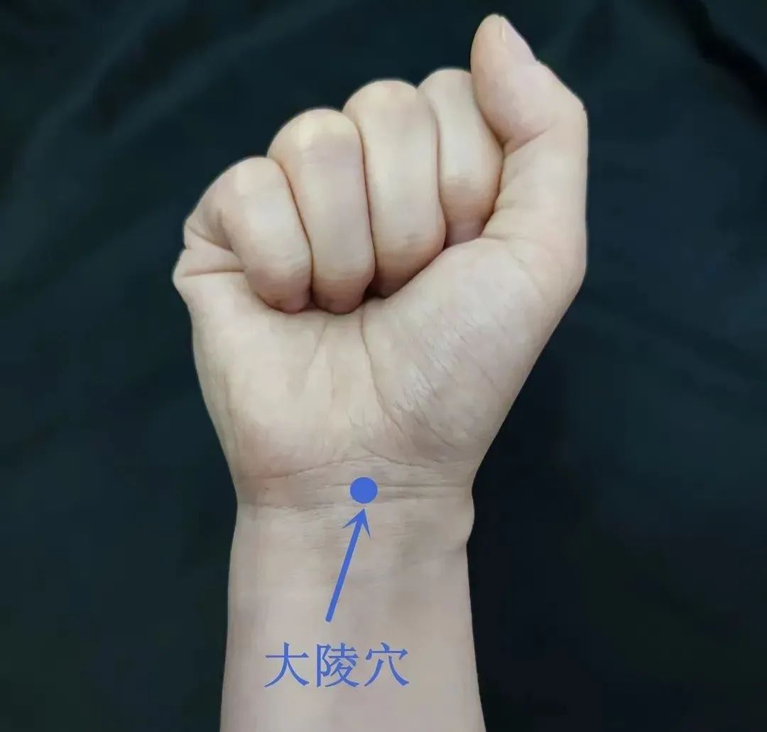 大陵穴(心包经) 大陵穴(心包经)