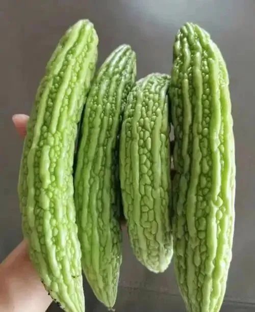 微信图片_20250507120754.jpg