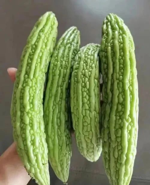 微信图片_20250507120749.jpg