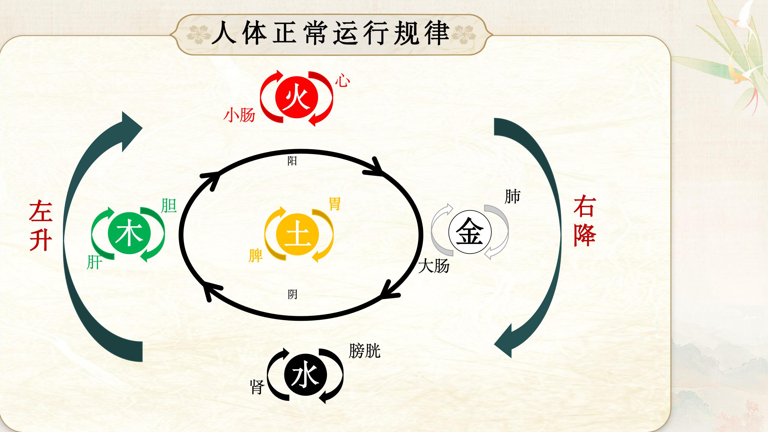 中域教育第 57 期金氏五行升降中医学术交流会（郑州站）开课啦！