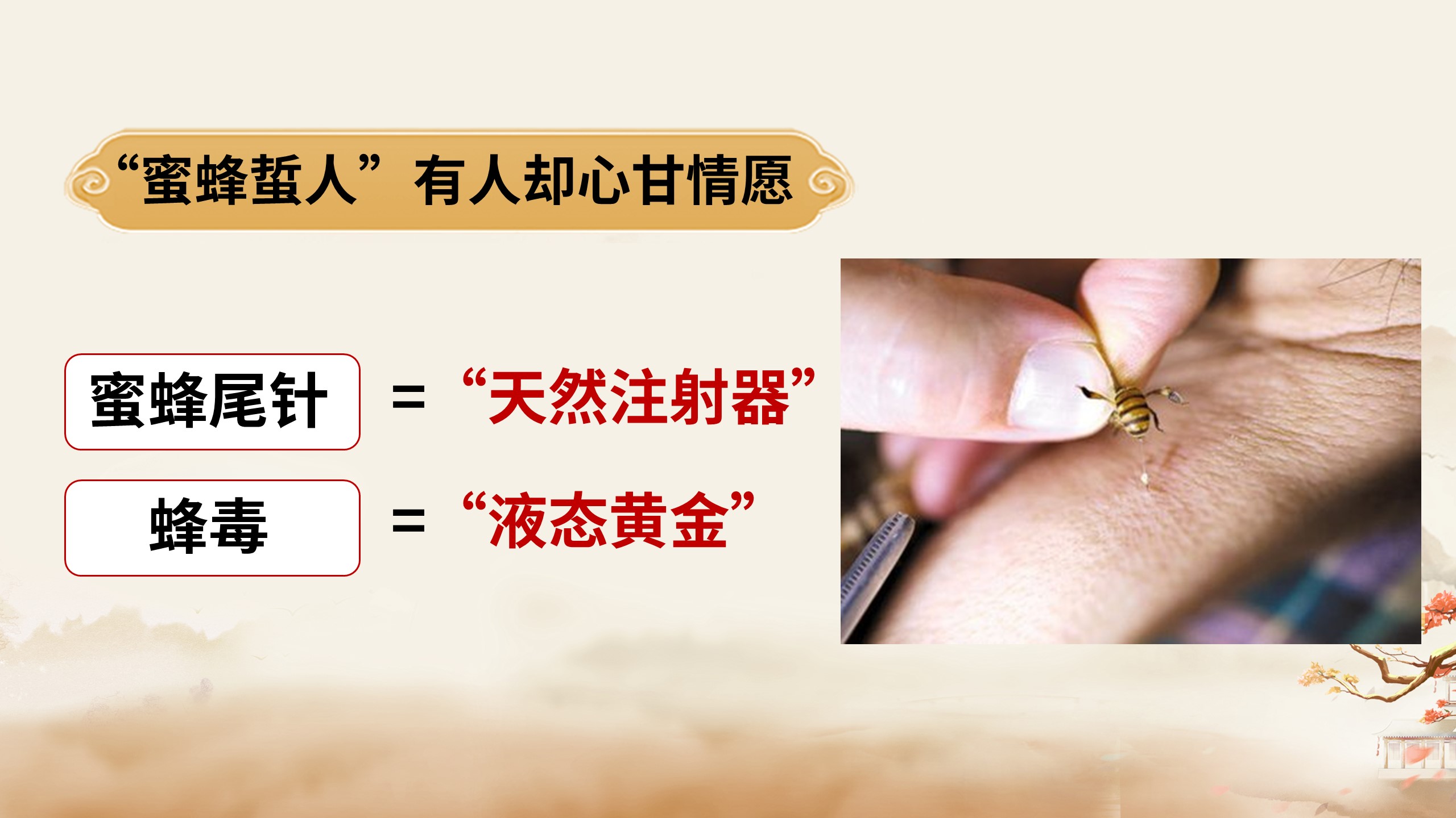中域教育第 1 期蜂疗袪顽疾学术交流会（青岛站）开课啦！