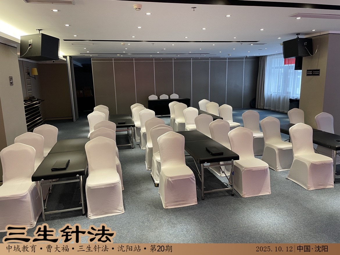 三生针学术交流会-沈阳站会场.jpg